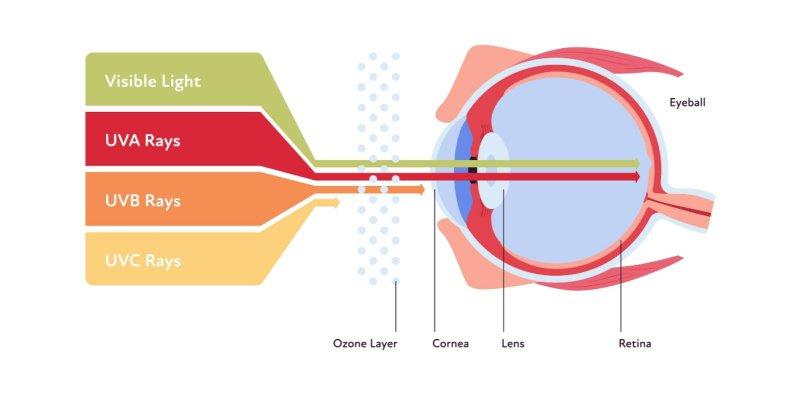 How to protect your eyes from UV exposure 2 How to protect your eyes from UV exposure 1
