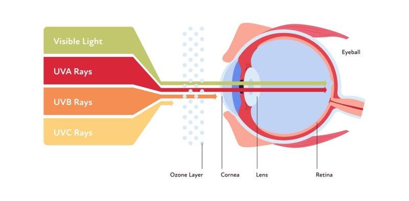 How to protect your eyes from UV exposure 1